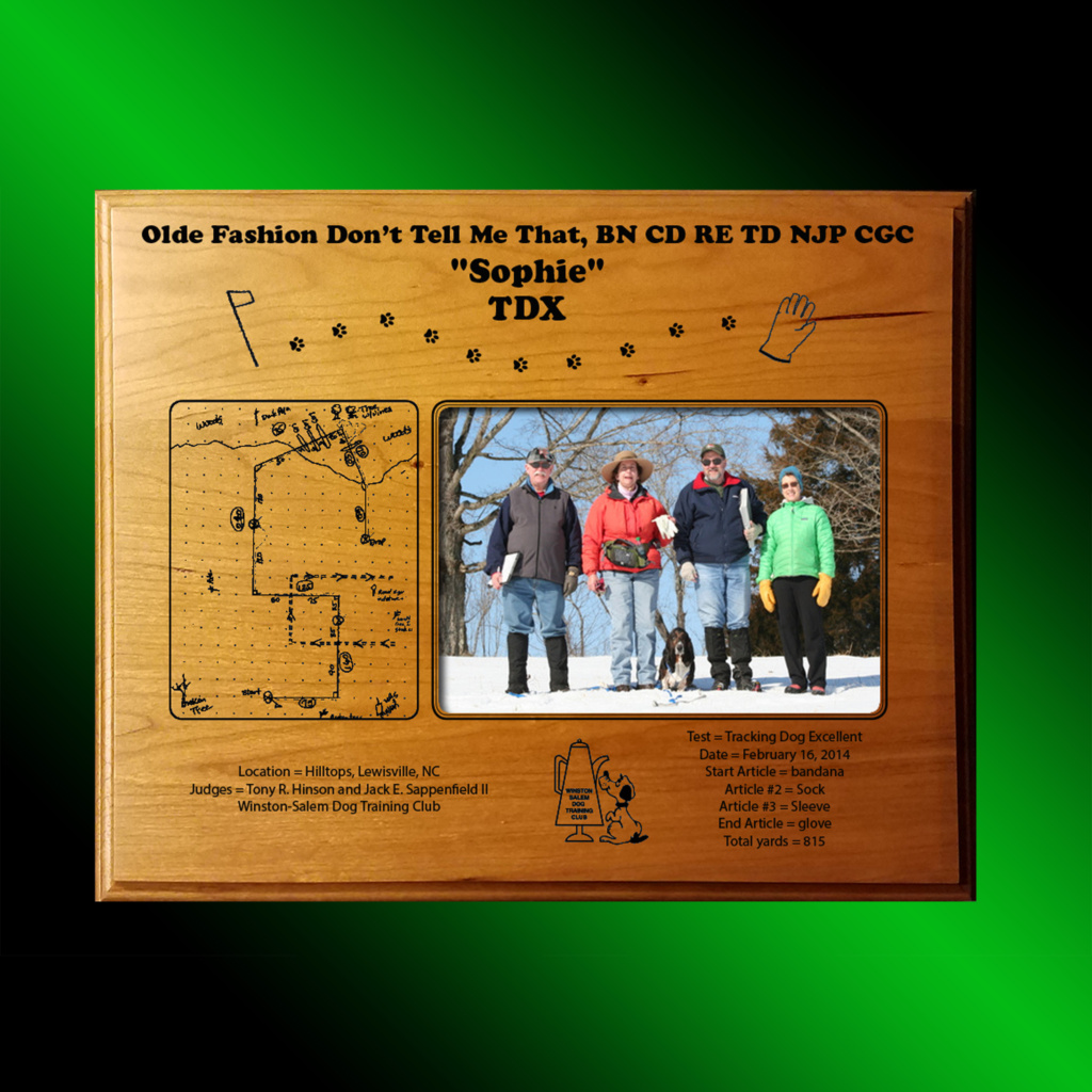 FINAL TDX 10 X 13 Belle Design LLC final-tdx-10-x-13-belle-design-llc